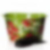 Емкость для сбора ягод "Клубника", объем 5 л