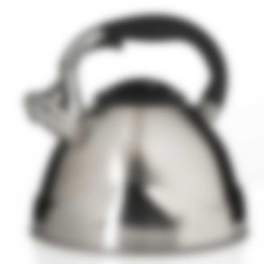 Чайник "Calve" со свистком, 4,5 л