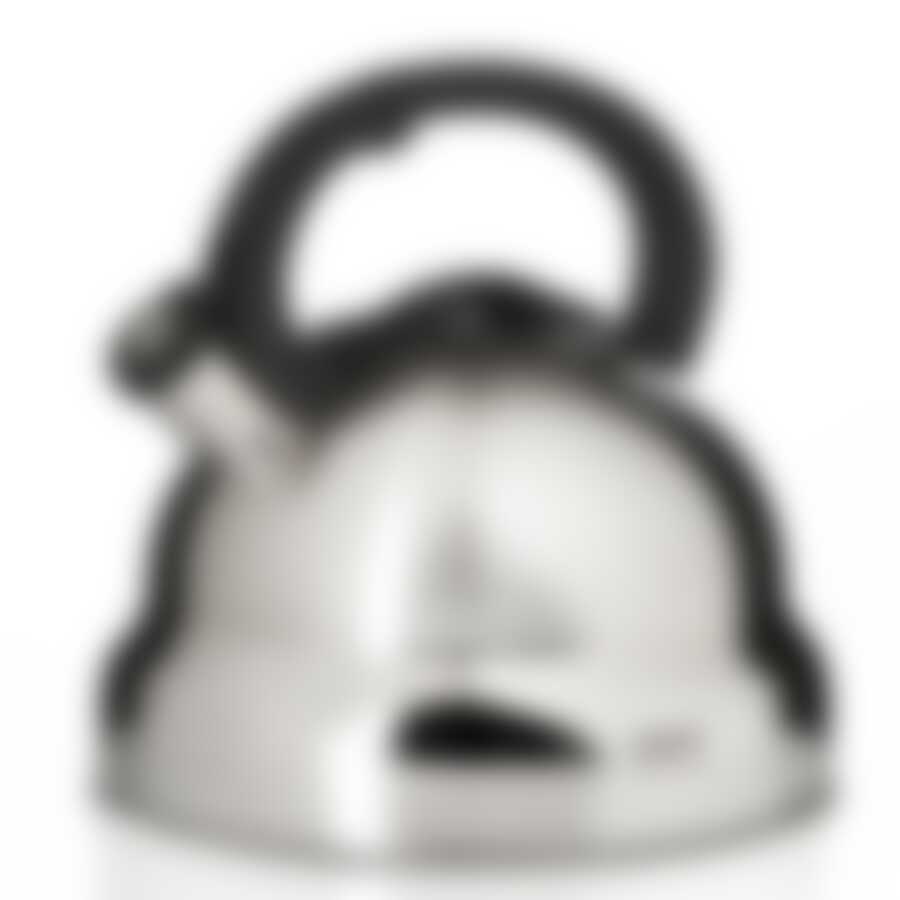 Чайник со свистком с термоаккумулирующим дном и бакелитовой ручкой 4.5 л