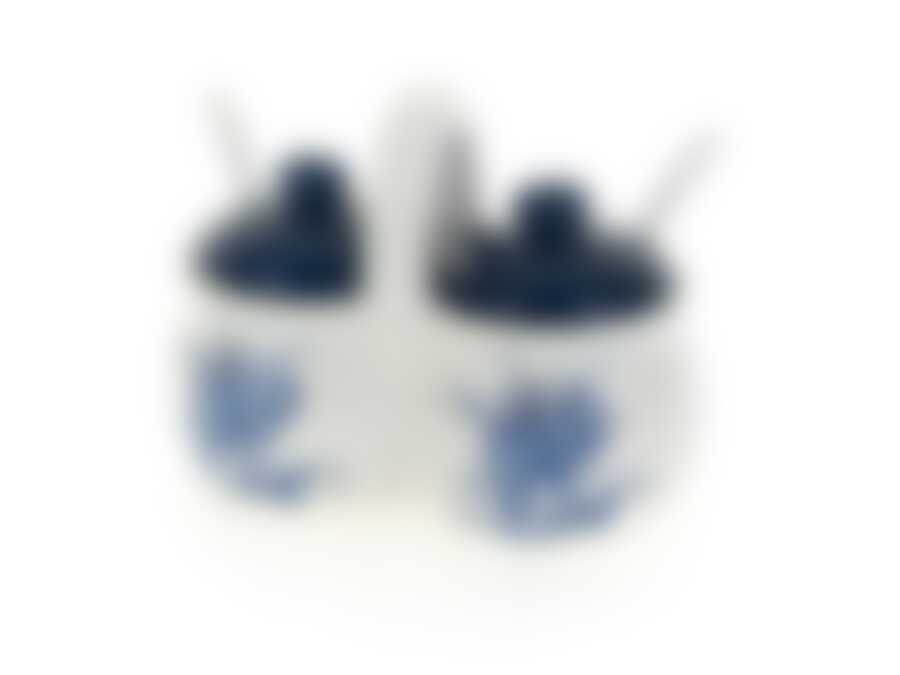 Банка для специй (двойная) + ложки "Орнамент" 15*8,5*12,5см. v=220мл. ложка l=11см. (подарочная упаковка)