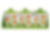 Банки для сыпучих продуктов, набор 3шт. "Нарцисс" d=9,5см h=13см v=400мл (32*10,5*13,5см (на деревянной подставке)) (подарочная упаковка)