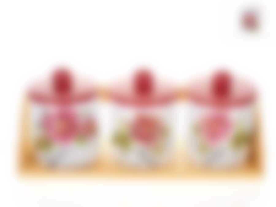 Банки для сыпучих продуктов, набор 3шт. "Райский сад" d=9,5см h=13см v=400см (32*11*14см) (на деревянной подставке) (подарочная упаковка)