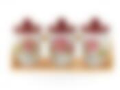 Банки для сыпучих продуктов, набор 3шт. "Райский сад" d=9,5см h=16см v=550см (32*11*17см) (на деревянной подставке) (конус) (подарочная упаковка)
