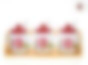 Банки для сыпучих продуктов, набор 3шт. + ложки "Райский сад" d=8см h=11,5см v=300см (29*10*12,5см ложка-L=13см) (на дер. подст.) (фигурн.) (под. уп.)