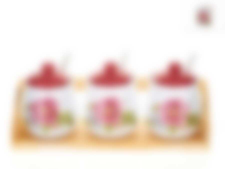 Банки для сыпучих продуктов, набор 3шт. + ложки "Райский сад" d=8см h=11,5см v=300см (29*10*12,5см ложка-L=13см) (на дер. подст.) (фигурн.) (под. уп.)