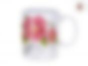 Кружка "Райский сад" v=310мл (подарочная упаковка)