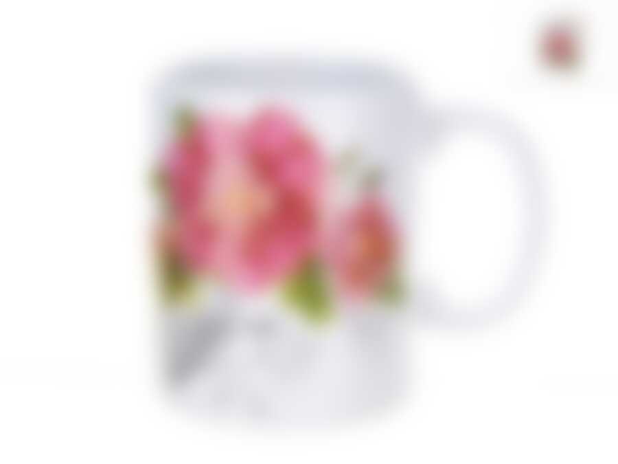 Кружка "Райский сад" v=310мл (подарочная упаковка)