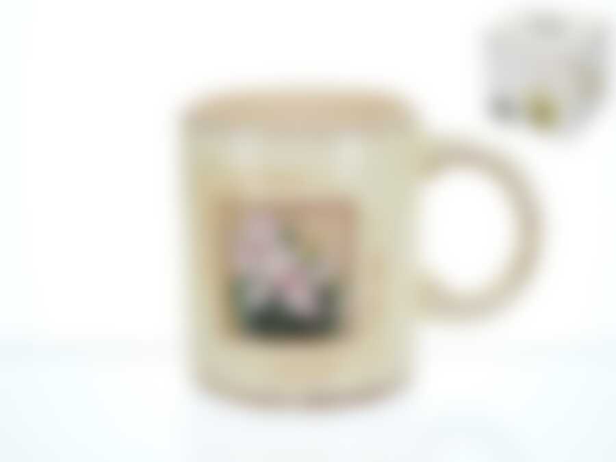 Кружка "Розовый ирис" v=410мл (подарочная упаковка)