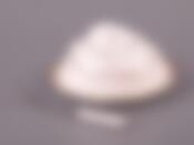 Лимонница "ЦВЕТОЧНАЯ СИМФОНИЯ" 15*15*8 см.+ вилочка