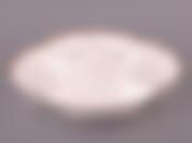 Менажница "ЦВЕТОЧНАЯ СИМФОНИЯ" 28*28*4 см