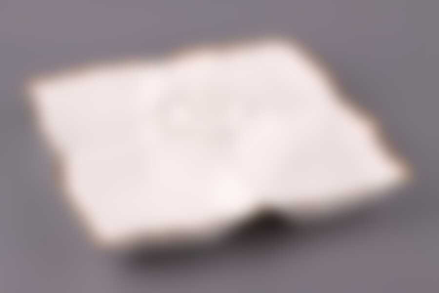 Менажница 5-ти секционная "ЦВЕТОЧНАЯ СИМФОНИЯ" 30*30 см