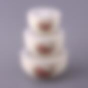 Набор блюд для заливного из 3 шт. "КОРЕЙСКАЯ РОЗА" 750/500/250 мл.