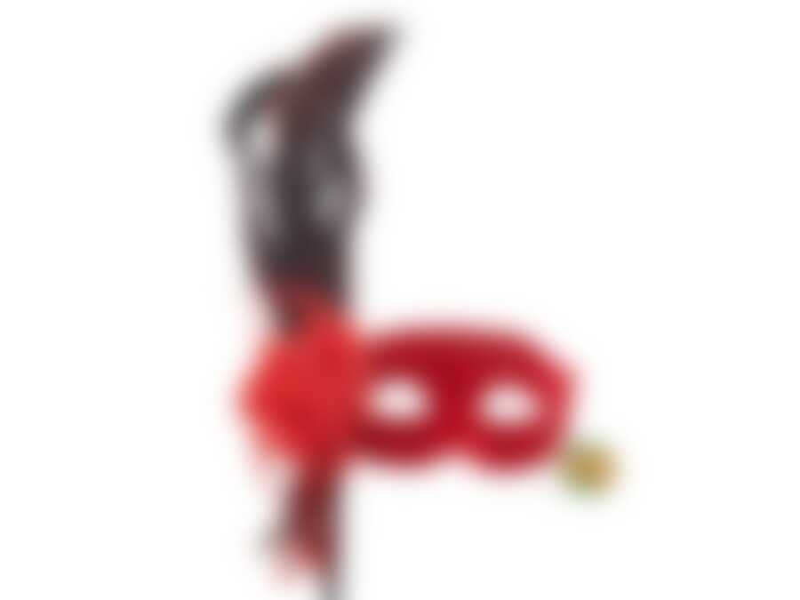 Изделие для карнавалов "Маска на палочке" 15*8см (с пером) (упаковочный пакет OPP)