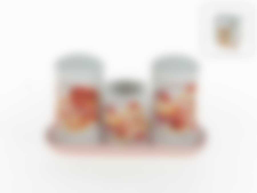 Набор для специй Polystar "Бисквит", 3 предмета