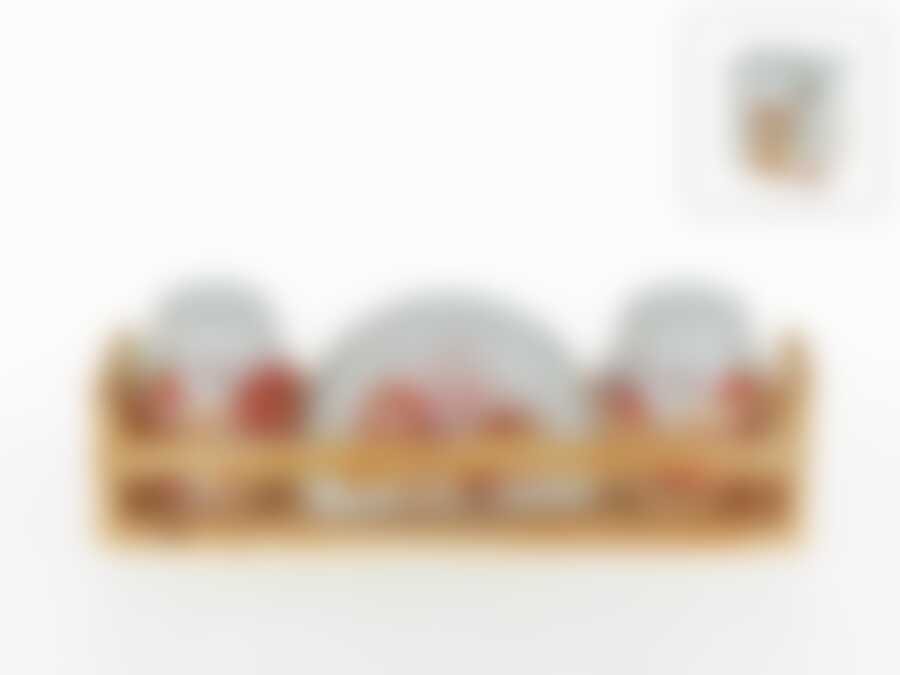 Набор для специй Polystar Бисквит, 4 предмета