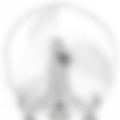 Тарелка столовая мелкая Pasabahce Papillion, D=24 см