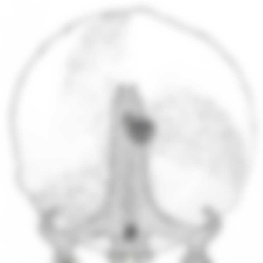 Тарелка столовая мелкая Pasabahce Papillion, D=24 см