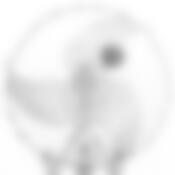 Тарелка закусочная (десертная) Pasabahce Papillion, D=19 см