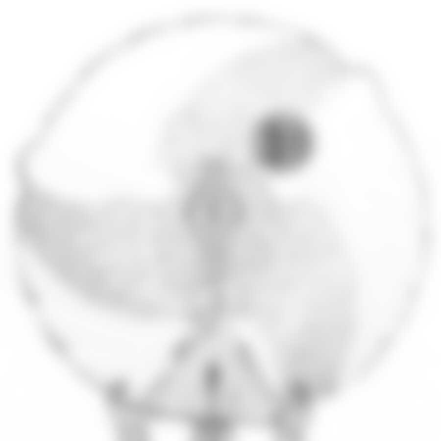 Тарелка закусочная (десертная) Pasabahce Papillion, D=19 см