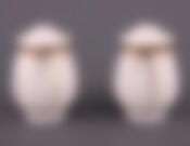 Набор для специй Lefard Flower Symphony, 2 предмета