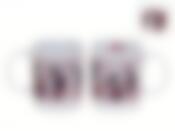 Кружка керамическая "ФК Спартак Москва" v=330мл. (подарочная упаковка)