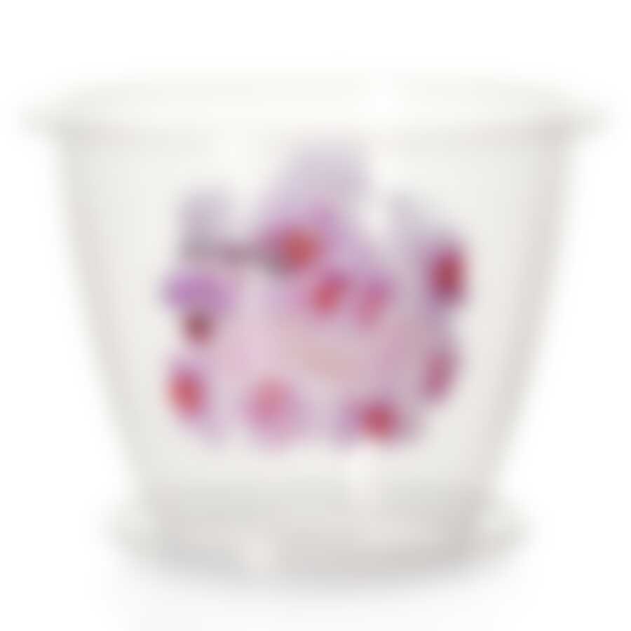 Горшок цветочный с поддоном "Флора" (орхидея) 2 л