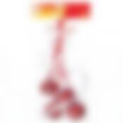 Украшение новогоднее подвесное House & Holder "Бубенчики", цвет: белый, красный, диаметр 5 см