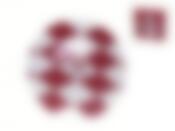 Тарелка декоративная (настенная) "ФК Спартак Москва" d=19см. 