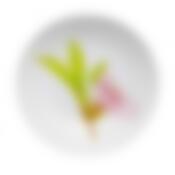 Тарелка столовая глубокая Luminarc Water Color, D=20 см