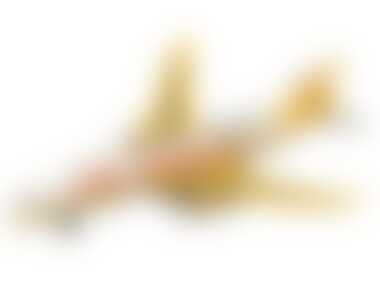 TAI TUNG Самолет Star Liner звук / свет индивидуальная упаковка