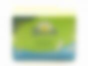 Naturella Нормал ежедневная 100шт.