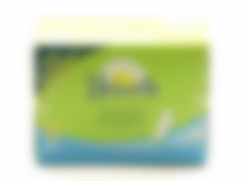 Naturella Нормал ежедневная 100шт.