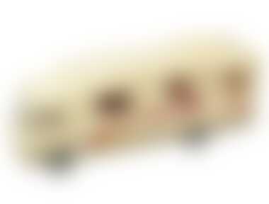 TAITUNG Дом на колесах индивидуальная упаковка