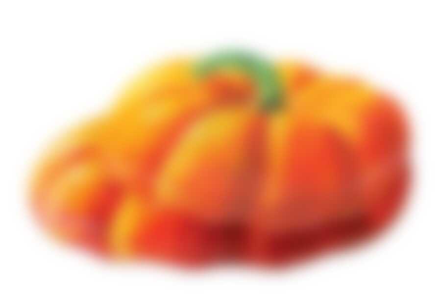 Набор 2 тарелки Тыква La Vita