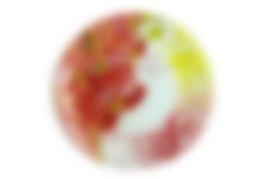 Тарелка 25см круглая Флора La Vita