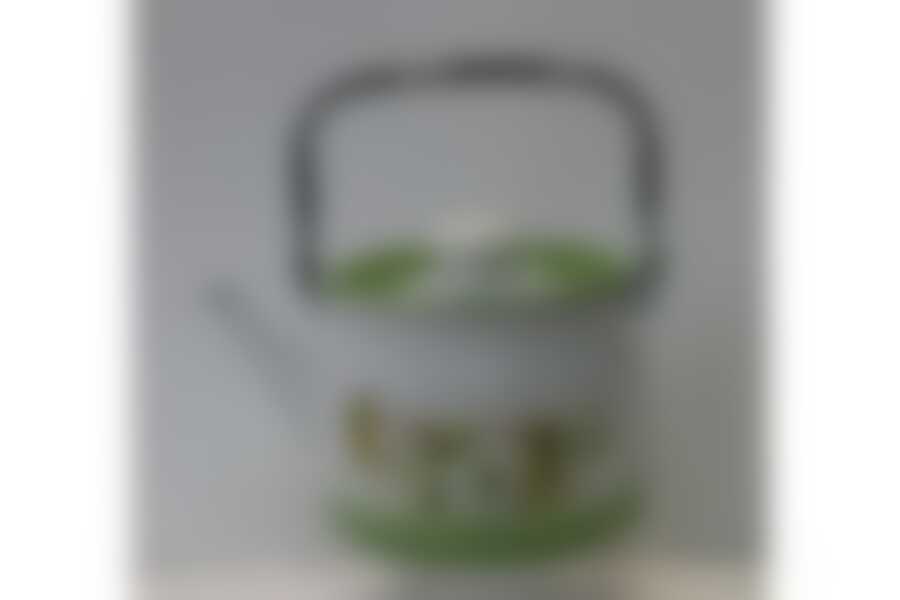 Чайник 2,0л с напылением и рисунком