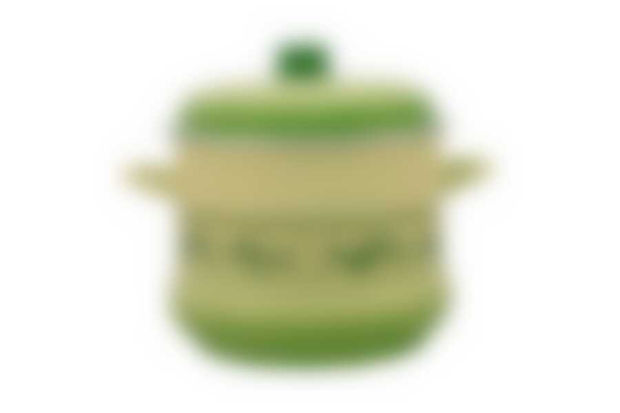 Кастрюля 2071 Эмина 5,0л Оливки