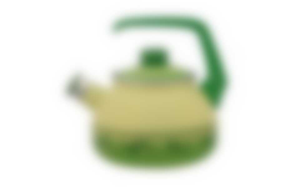 Чайник 2071 Эмина 2,5л Оливки