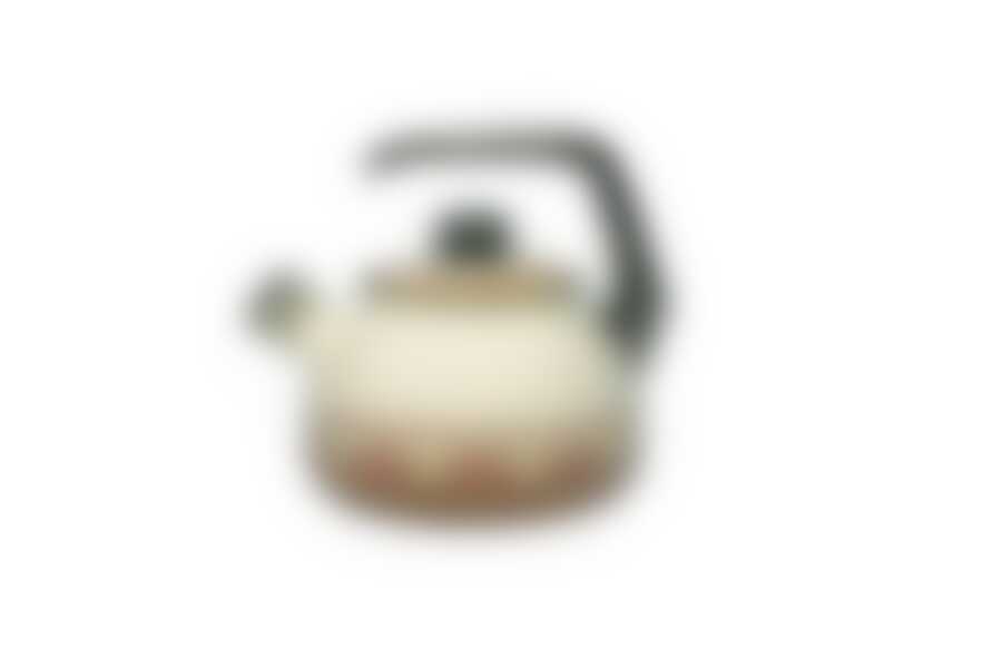 Чайник 9090 Таково2,5л Терракот