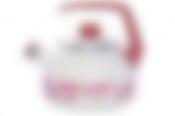 Чайник 9696 Таково2,5л Сакура