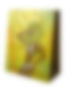 Пакет подарочный из ламинированной бумаги матовый 26*33см