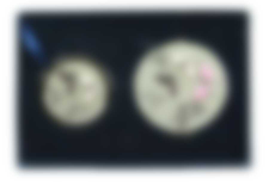 Подарочный набор "LA GEER": зеркало, пепельница (1 шт)