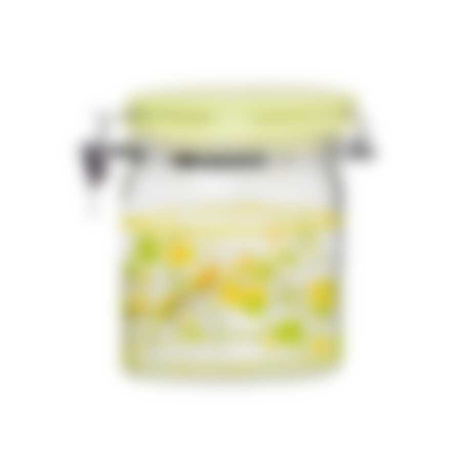 Банка стеклянная овальная с керамической крышкой paradise bird 700мл