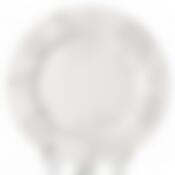 Тарелка столовая мелкая Domenik Lucky Charm, D=27 см