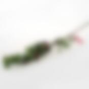 Яблоки красные на ветке 86 см