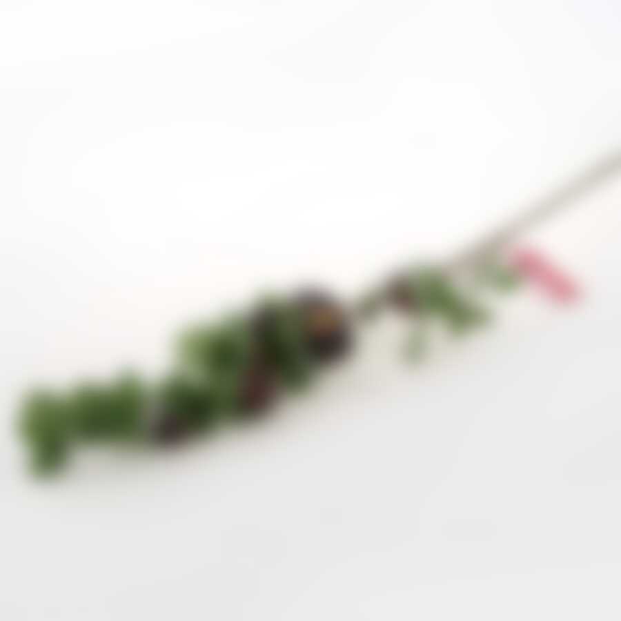 Яблоки красные на ветке 86 см