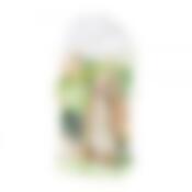 Набор ароматизированных сухоцветов яблоко 19x10см