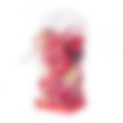 Набор ароматизированных сухоцветов роза 19x10см