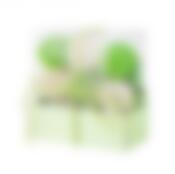 Набор ароматизированных сухоцветов яблоко 15x15см