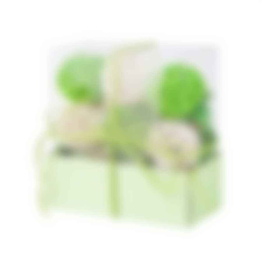 Набор ароматизированных сухоцветов яблоко 15x15см